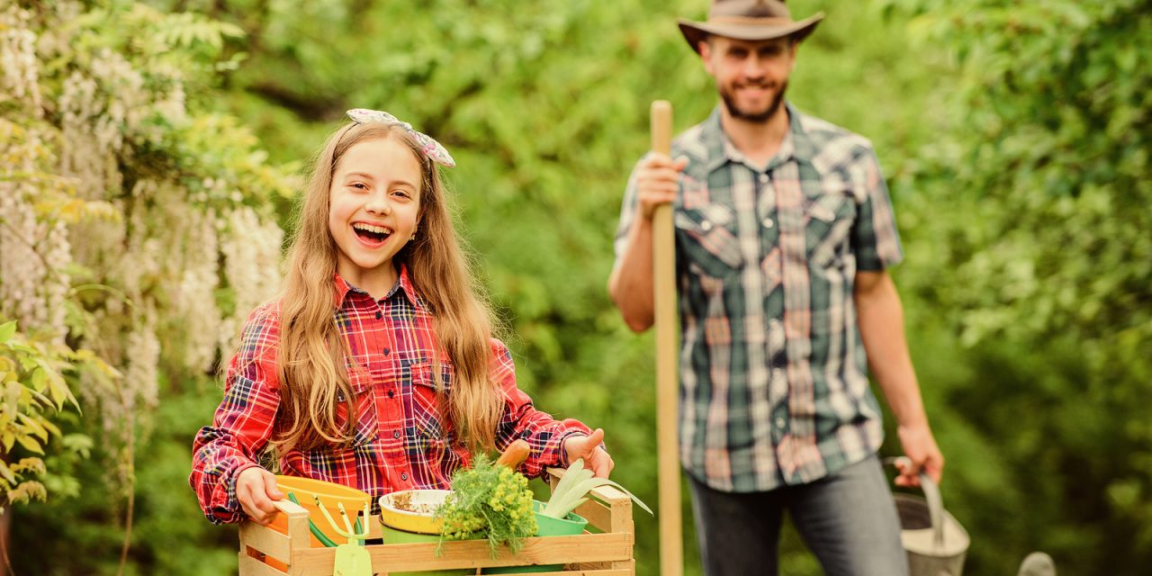 6 Tips to Affordable Gardening